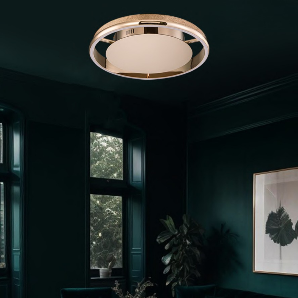 Calyxia Ceiling Fix - Image 3